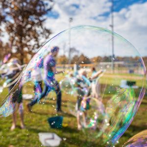 Artistic Bubbles
